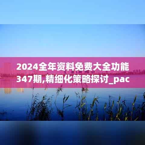 2024全年资料免费大全功能347期,精细化策略探讨_pack8.453