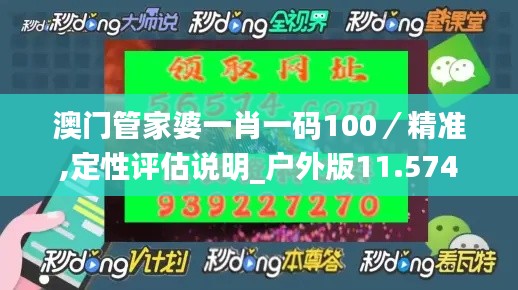 澳门管家婆一肖一码100／精准,定性评估说明_户外版11.574