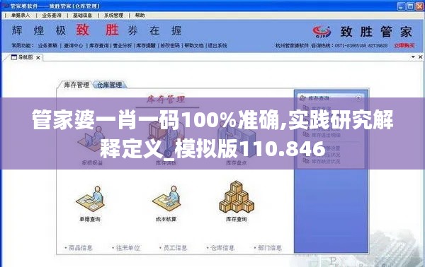 管家婆一肖一码100%准确,实践研究解释定义_模拟版110.846
