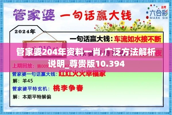 管家婆204年资料一肖,广泛方法解析说明_尊贵版10.394