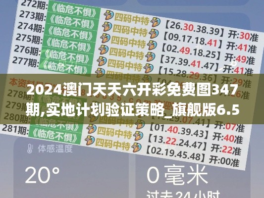 2024澳门天天六开彩免费图347期,实地计划验证策略_旗舰版6.584