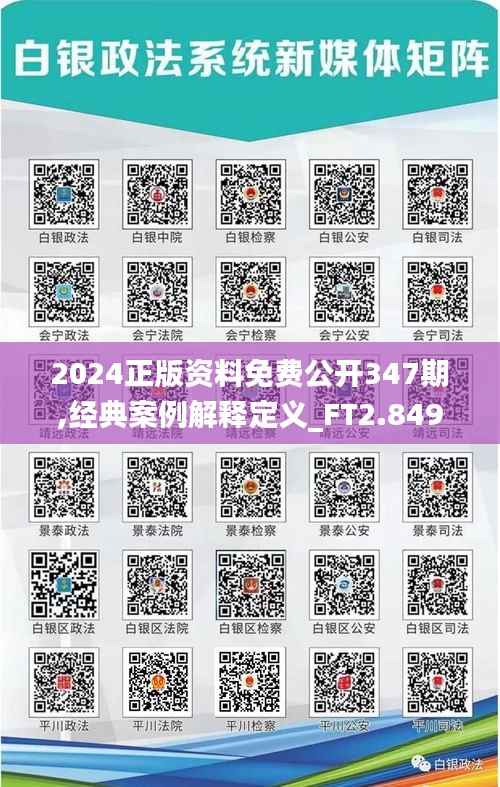 2024正版资料免费公开347期,经典案例解释定义_FT2.849