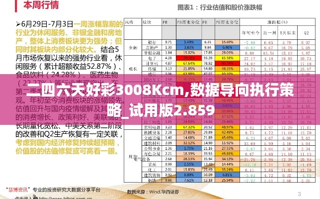 二四六天好彩3008Kcm,数据导向执行策略_试用版2.859