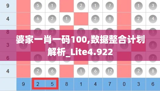 婆家一肖一码100,数据整合计划解析_Lite4.922