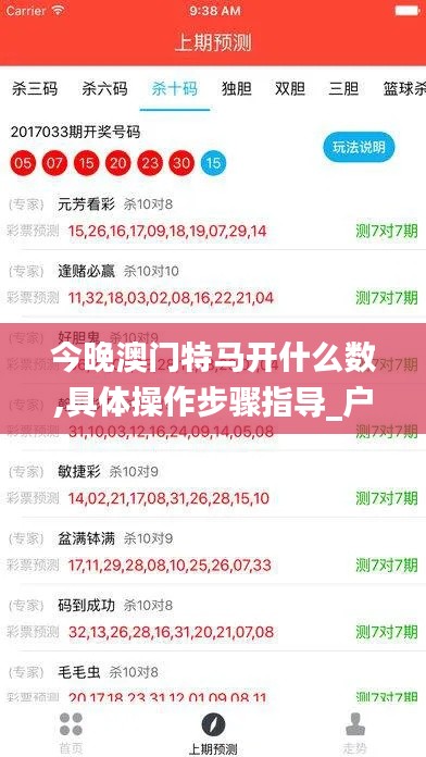 今晚澳门特马开什么数,具体操作步骤指导_户外版11.149