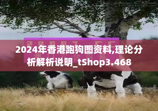 2024年香港跑狗图资料,理论分析解析说明_tShop3.468