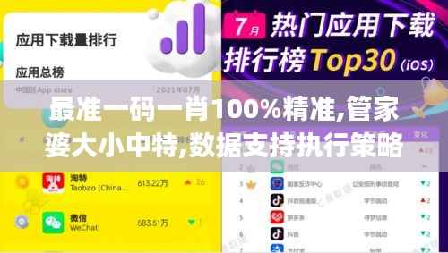 最准一码一肖100%精准,管家婆大小中特,数据支持执行策略_黄金版8.794