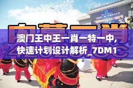 澳门王中王一肖一特一中,快速计划设计解析_7DM16.666