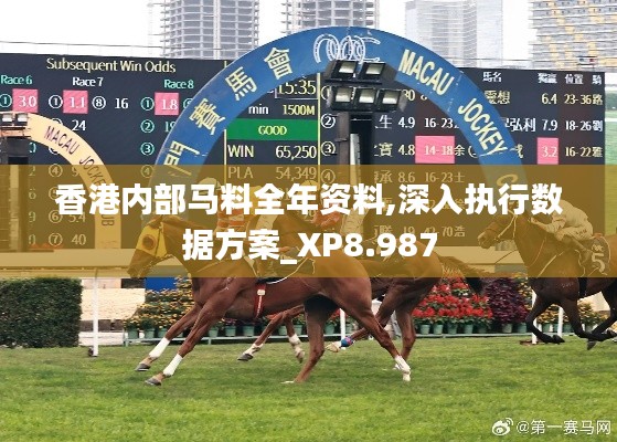 香港内部马料全年资料,深入执行数据方案_XP8.987