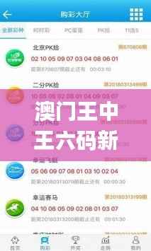 澳门王中王六码新澳门,精细分析解释定义_云端版4.678