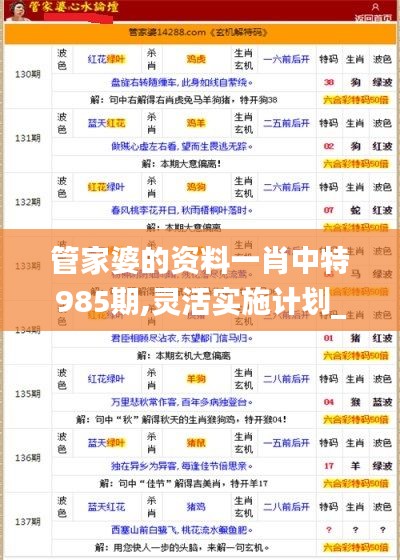 管家婆的资料一肖中特985期,灵活实施计划_限定版1.266