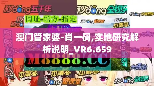澳门管家婆-肖一码,实地研究解析说明_VR6.659