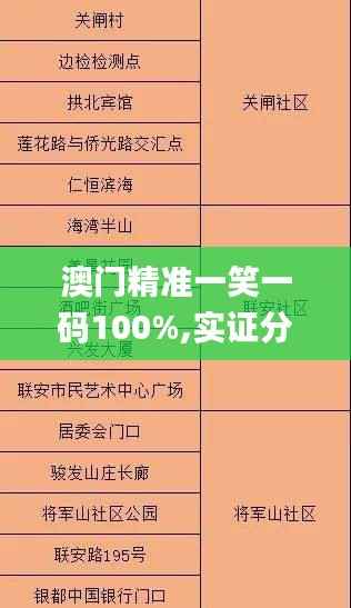 澳门精准一笑一码100%,实证分析解释定义_经典版9.295