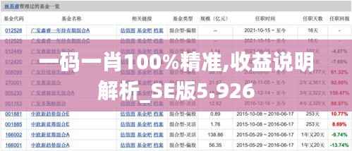 一码一肖100%精准,收益说明解析_SE版5.926
