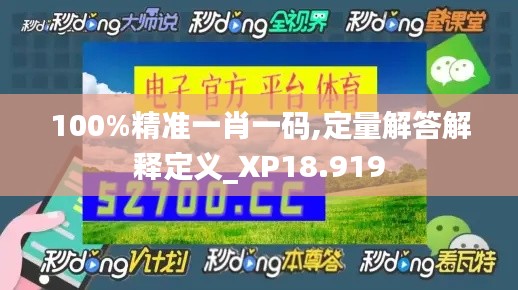 100%精准一肖一码,定量解答解释定义_XP18.919