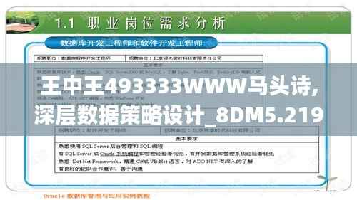 王中王493333WWW马头诗,深层数据策略设计_8DM5.219