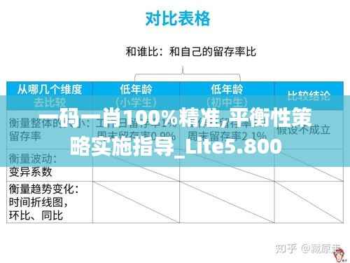 一码一肖100%精准,平衡性策略实施指导_Lite5.800