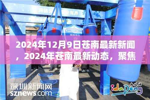 聚焦苍南新征程，最新动态与新闻，迈向未来的步伐