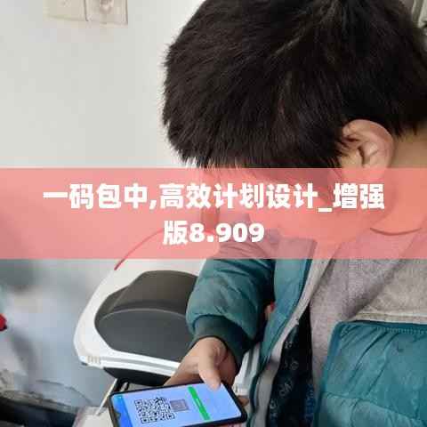 一码包中,高效计划设计_增强版8.909