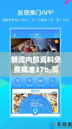 新澳内部资料免费精准37b,高效解答解释定义_app1.601