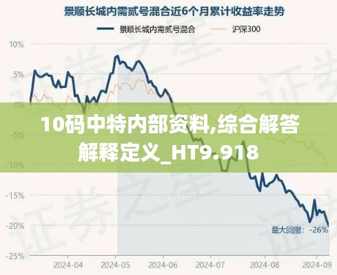 10码中特内部资料,综合解答解释定义_HT9.918
