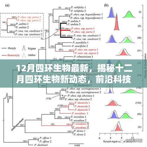 揭秘十二月四环生物新动态，前沿科技与生态研究引领未来新篇章