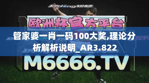 管家婆一肖一码100大奖,理论分析解析说明_AR3.822