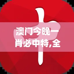 澳门今晚一肖必中特,全面解读说明_精英版7.416