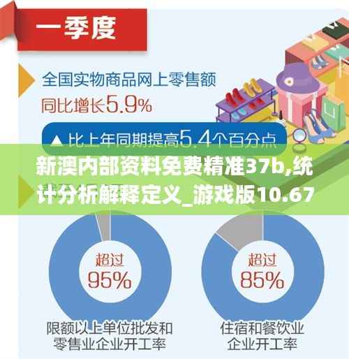 新澳内部资料免费精准37b,统计分析解释定义_游戏版10.673