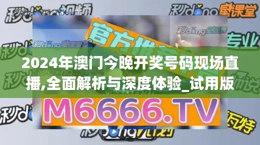 飞箭如蝗 第5页