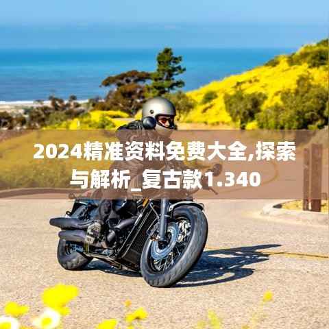 2024精准资料免费大全,探索与解析_复古款1.340