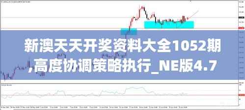 新澳天天开奖资料大全1052期,高度协调策略执行_NE版4.764