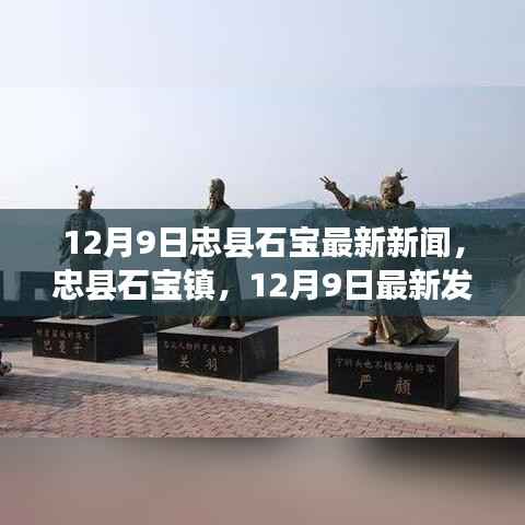 忠县石宝镇热点新闻聚焦,最新发展动态及热点新闻(12月9日)