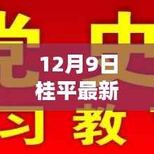 揭秘桂平最新任职动态，开启发展新篇章（十二月九日更新）