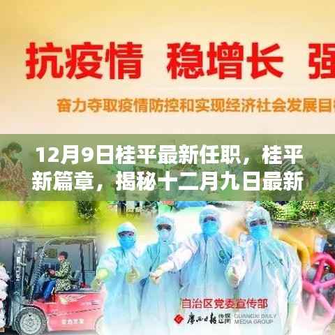 揭秘桂平最新任职动态,开启发展新篇章(十二月九日更新)