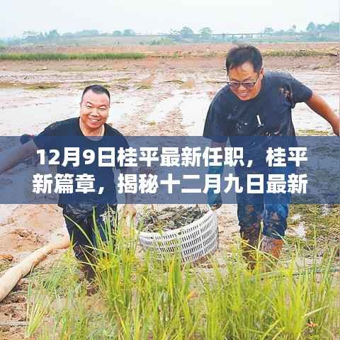 揭秘桂平最新任职动态,开启发展新篇章(十二月九日更新)