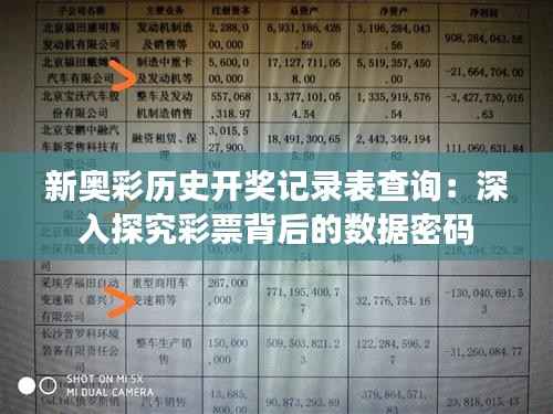 新奥彩历史开奖记录表查询：深入探究彩票背后的数据密码