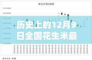 深度解析，历史上的全国花生米价格走势与最新价格动态回顾——以十二月九日为例
