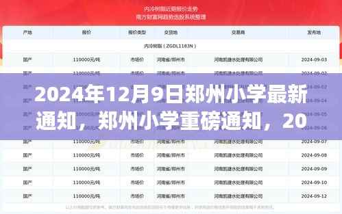郑州小学最新通知与教育动态，2024年12月9日实施计划重磅发布