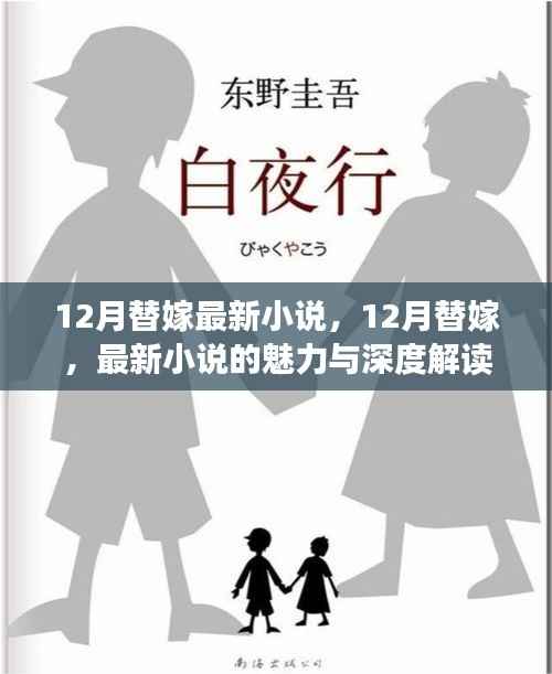 最新替嫁小说魅力与深度解读,揭秘十二月替嫁热潮