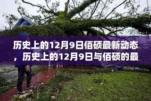 历史上的12月9日，佰硕最新动态与创新科技展望未来