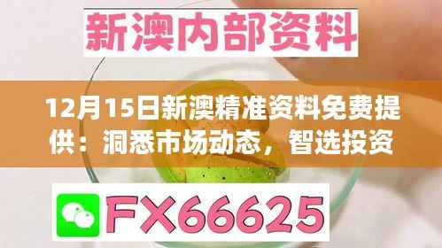 12月15日新澳精准资料免费提供：洞悉市场动态，智选投资良机