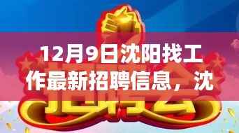 沈阳十二月九日求职盛宴,最新招聘信息与职场黄金机遇深度解析