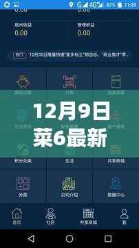 12月9日菜6最新下载版本，全新功能与特色体验