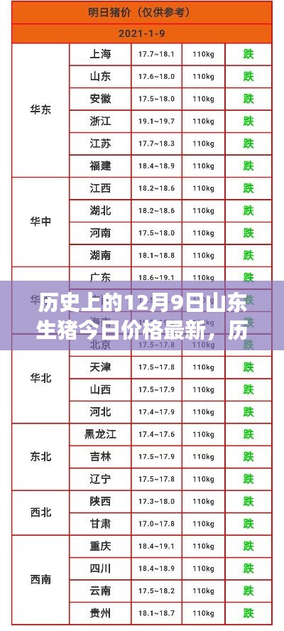 揭秘历史12月9日山东生猪最新价格与市场动态分析