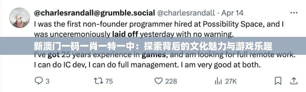 新澳门一码一肖一特一中：探索背后的文化魅力与游戏乐趣