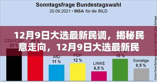 深度解析,最新民调揭示12月9日大选民意走向