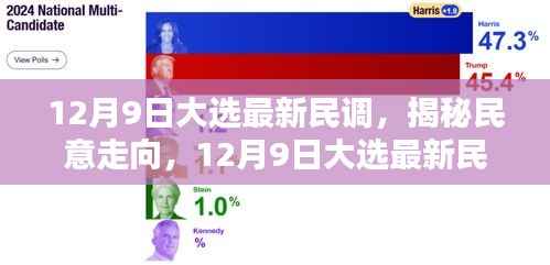 深度解析,最新民调揭示12月9日大选民意走向
