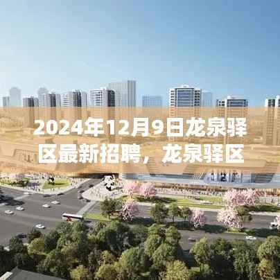 龙泉驿区未来之星招聘启航，聚焦最新岗位信息（2024年12月9日）