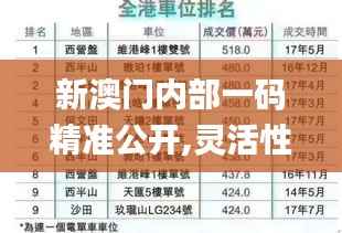 新澳门内部一码精准公开,灵活性计划实施_薄荷版6.190